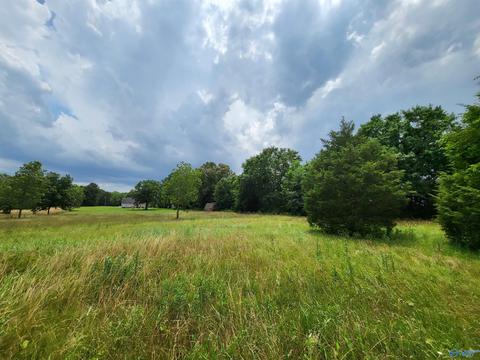 652 County Road 386, Trinity, AL 35673 photo 33