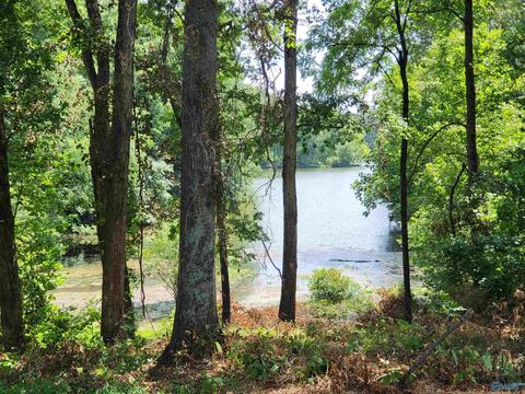 652 County Road 386, Trinity, AL 35673 photo 40