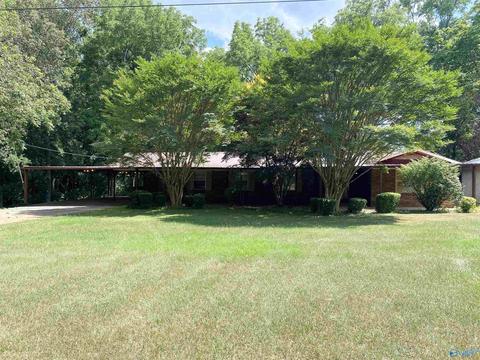652 County Road 386, Trinity, AL 35673 photo 1