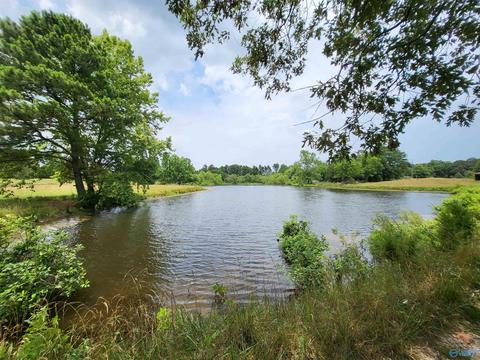 652 County Road 386, Trinity, AL 35673 photo 38
