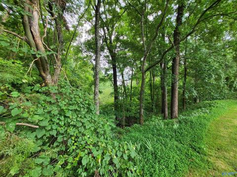 652 County Road 386, Trinity, AL 35673 photo 26