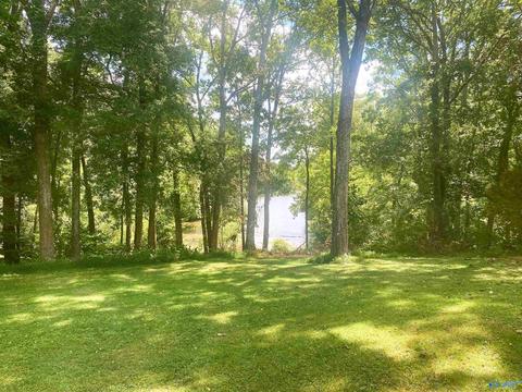 652 County Road 386, Trinity, AL 35673 photo 2