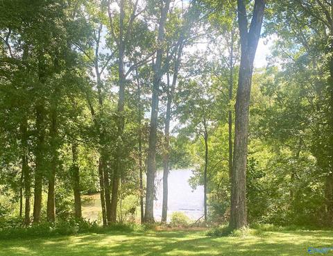 652 County Road 386, Trinity, AL 35673 photo 3