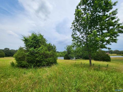 652 County Road 386, Trinity, AL 35673 photo 34