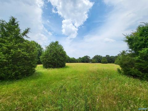 652 County Road 386, Trinity, AL 35673 photo 35