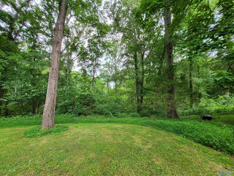 652 County Road 386, Trinity, AL 35673 photo 25