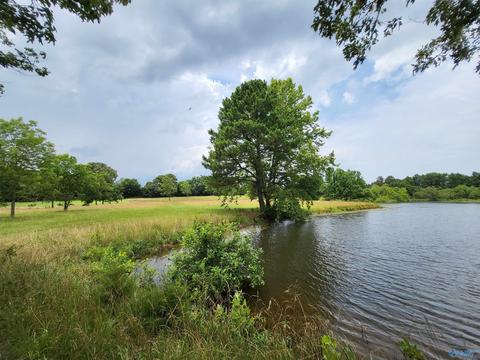 652 County Road 386, Trinity, AL 35673 photo 37