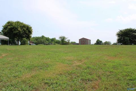 533 Oak Grove Rd, Goodspring, TN 38460 photo 4