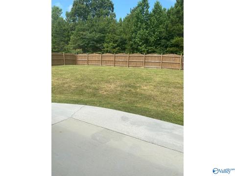 31 Hawthorn Way, Trinity, AL 35673 photo 43