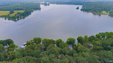 3950 E Chattooga Dr, Cedar Bluff, AL 35959 photo 5