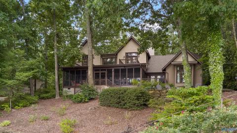 3950 E Chattooga Dr, Cedar Bluff, AL 35959 photo 50