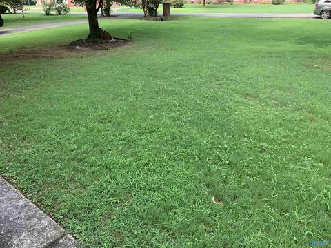 348 Forest Home Dr, Trinity, AL 35673 photo 11