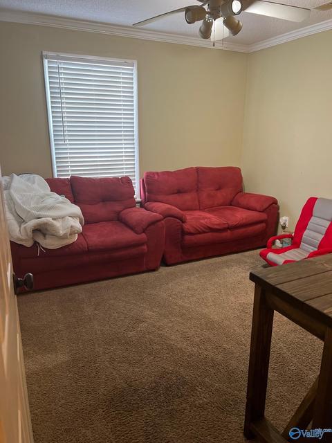 105 Sims St, Trinity, AL 35673 photo 9