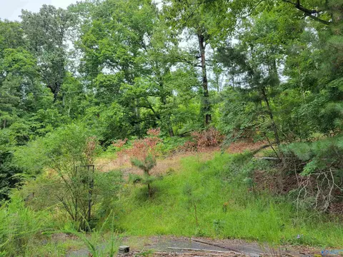 415 Cooper Hill Rd, Grant, AL 35747 photo 13