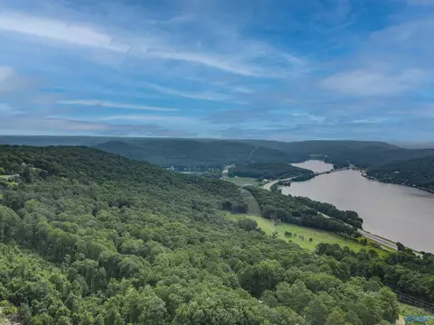 415 Cooper Hill Rd, Grant, AL 35747 photo 3