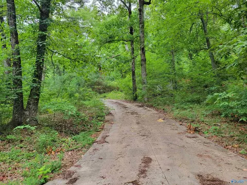 415 Cooper Hill Rd, Grant, AL 35747 photo 7