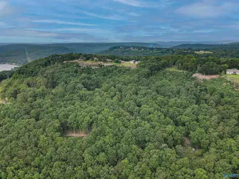 415 Cooper Hill Rd, Grant, AL 35747 photo 6