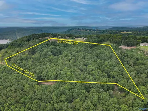 415 Cooper Hill Rd, Grant, AL 35747 photo 1