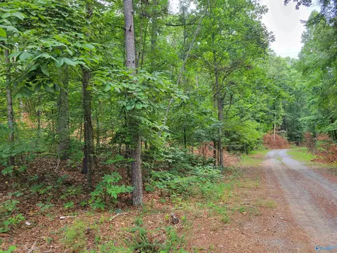 415 Cooper Hill Rd, Grant, AL 35747 photo 10