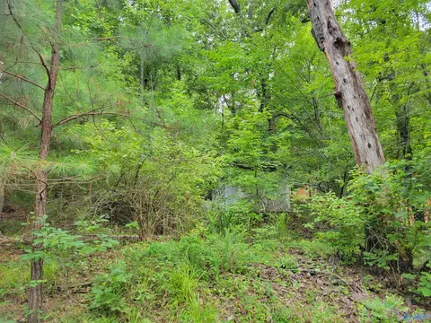 415 Cooper Hill Rd, Grant, AL 35747 photo 9