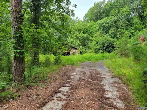 415 Cooper Hill Rd, Grant, AL 35747 photo 8