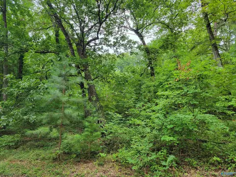 415 Cooper Hill Rd, Grant, AL 35747 photo 11