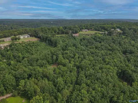 415 Cooper Hill Rd, Grant, AL 35747 photo 4