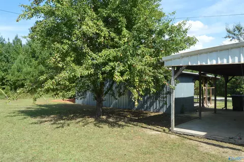23778 County Road 460, Trinity, AL 35673 photo 3
