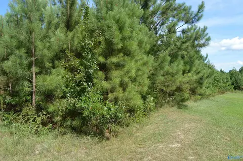 23778 County Road 460, Trinity, AL 35673 photo 6