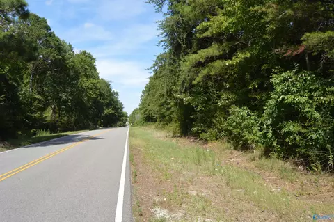 23778 County Road 460, Trinity, AL 35673 photo 5