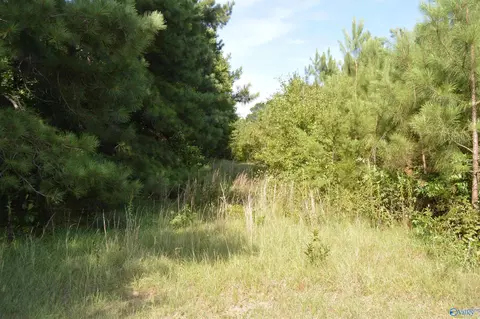 23778 County Road 460, Trinity, AL 35673 photo 1