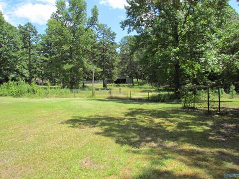 324 County Road 547, Trinity, AL 35673 photo 18