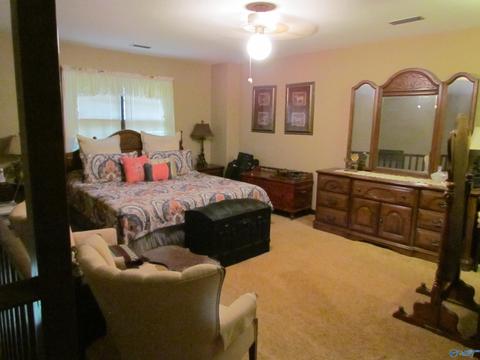 324 County Road 547, Trinity, AL 35673 photo 10