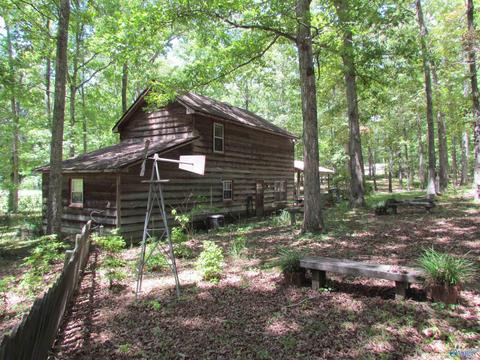 324 County Road 547, Trinity, AL 35673 photo 20