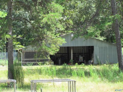 324 County Road 547, Trinity, AL 35673 photo 16