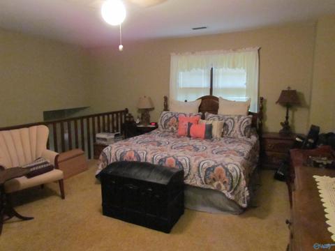 324 County Road 547, Trinity, AL 35673 photo 11