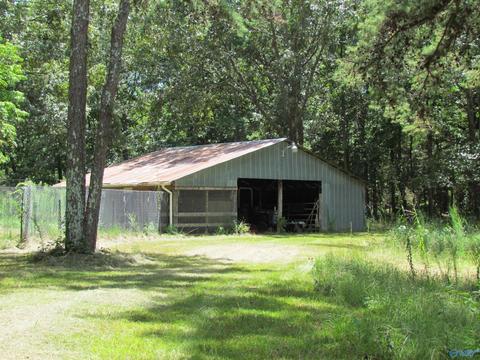 324 County Road 547, Trinity, AL 35673 photo 17
