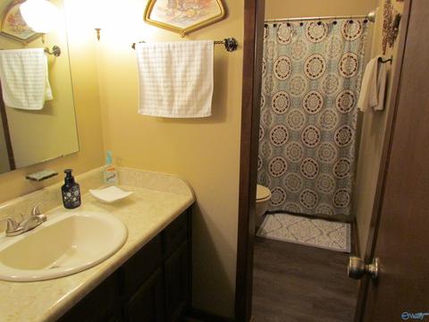 324 County Road 547, Trinity, AL 35673 photo 9