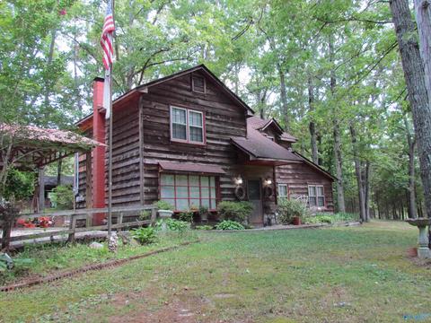 324 County Road 547, Trinity, AL 35673 photo 1