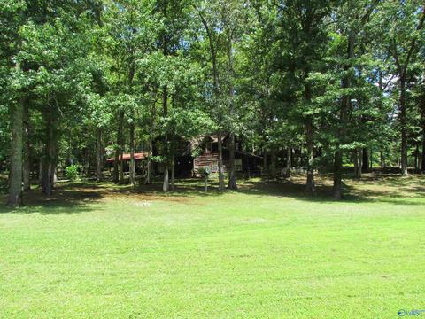 324 County Road 547, Trinity, AL 35673 photo 21