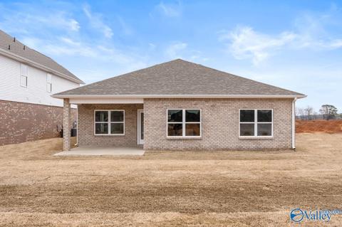 102 Cotita Dr, Toney, AL 35773 photo 25