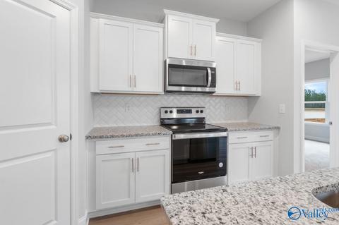 102 Cotita Dr, Toney, AL 35773 photo 6