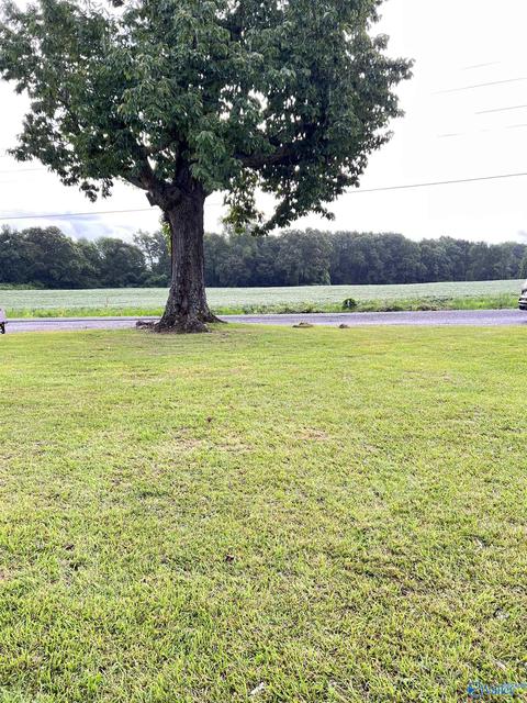 2959 Highway 55, Eva, AL 35621 photo 16