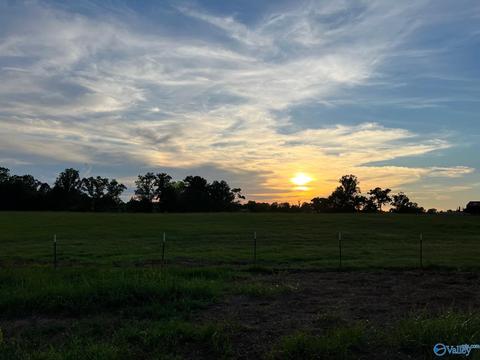 2870 County Road 30, Clanton, AL 35045 photo 1