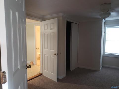 7 Nelson Rd, Grant, AL 35747 photo 26