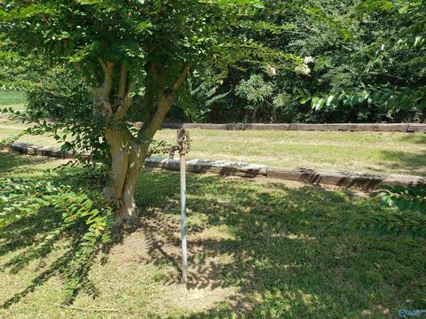7 Nelson Rd, Grant, AL 35747 photo 13