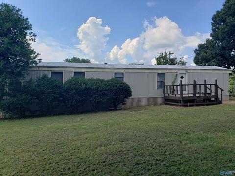 7 Nelson Rd, Grant, AL 35747 photo 43