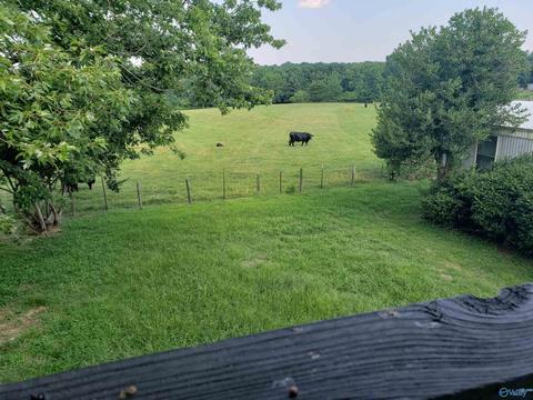 7 Nelson Rd, Grant, AL 35747 photo 9