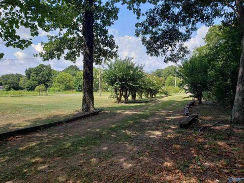 7 Nelson Rd, Grant, AL 35747 photo 12