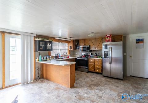 6973 N Willow Rd, Ider, AL 35981 photo 10
